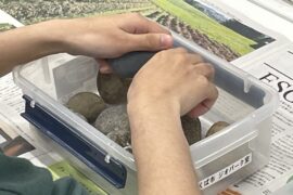 触察ワークショップが開催されました